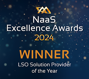 LSO Solution Provider of the Year